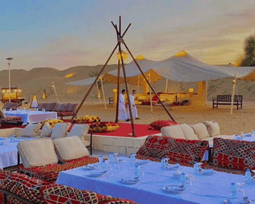 Desert Safari Show with Falconry & Dinner in Dubai