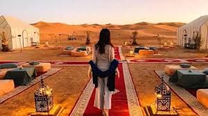 Exclusive Safari Experience in Dubai Desert