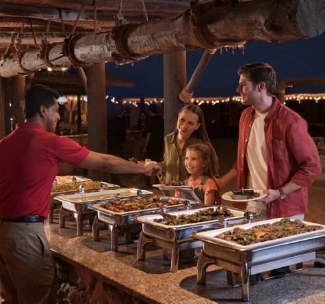 Evening Safari in Dubai with Family